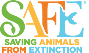 SAFE - Saving Animals From Extinction